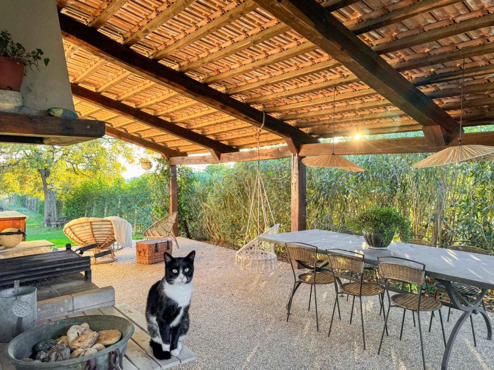 Casale Le Brecce B&B Otricoli Екстериор снимка